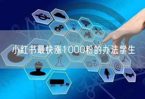 小红书最快涨1000粉的办法学生