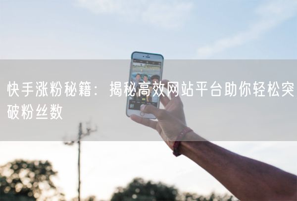 快手涨粉秘籍：揭秘高效网站平台助你轻松突破粉丝数