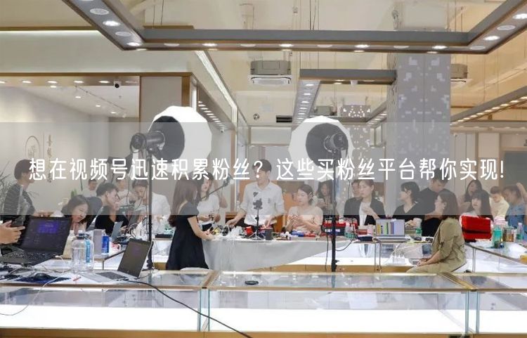 想在视频号迅速积累粉丝？这些买粉丝平台帮你实现!