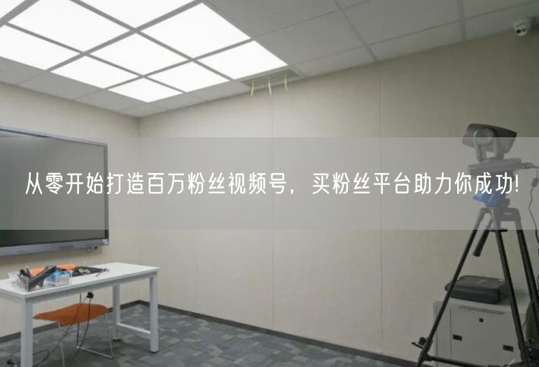 从零开始打造百万粉丝视频号，买粉丝平台助力你成功!