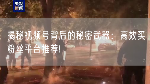 揭秘视频号背后的秘密武器：高效买粉丝平台推荐!