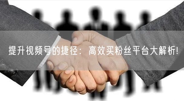提升视频号的捷径：高效买粉丝平台大解析!