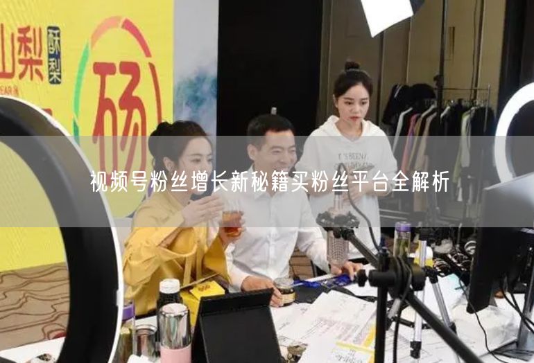 视频号粉丝增长新秘籍买粉丝平台全解析