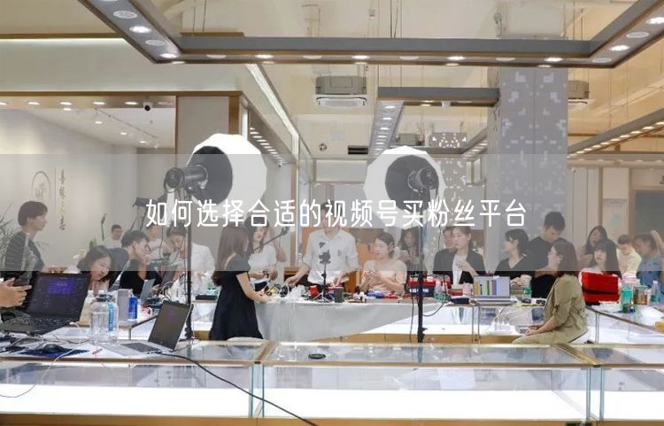 如何选择合适的视频号买粉丝平台