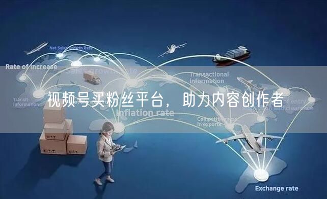 视频号买粉丝平台，助力内容创作者