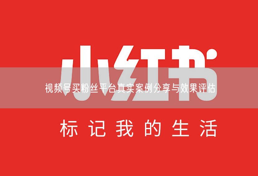 视频号买粉丝平台真实案例分享与效果评估