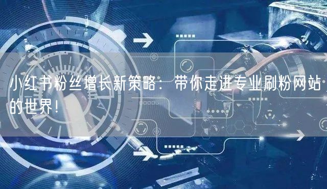 小红书粉丝增长新策略：带你走进专业刷粉网站的世界！