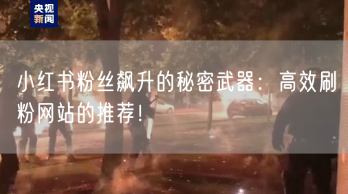 小红书粉丝飙升的秘密武器：高效刷粉网站的推荐！